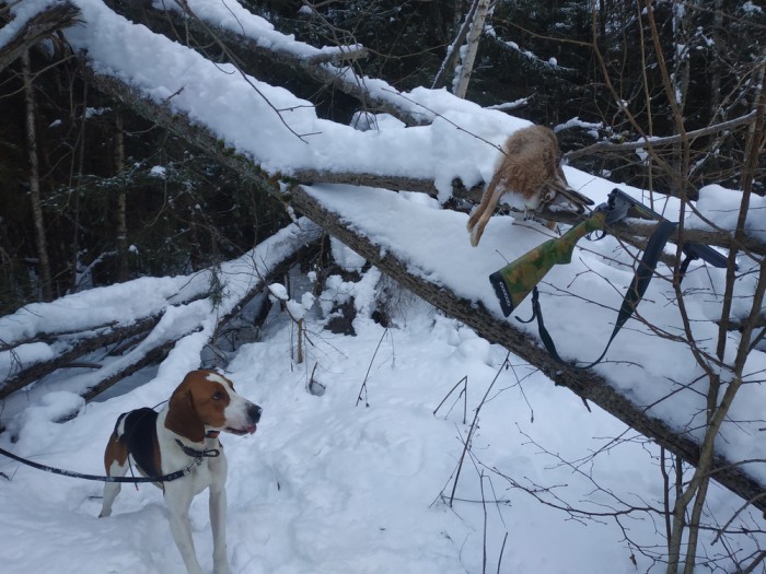 190120193835.jpg (304.94 КБ) Просмотров: 5282 190120193835.jpg