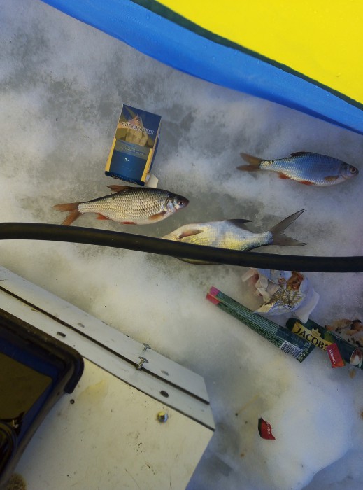 IMG_20190202_121516.jpg (3.89 МБ) Просмотров: 22107 IMG_20190202_121516.jpg