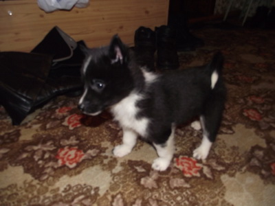 DSCF5713.JPG