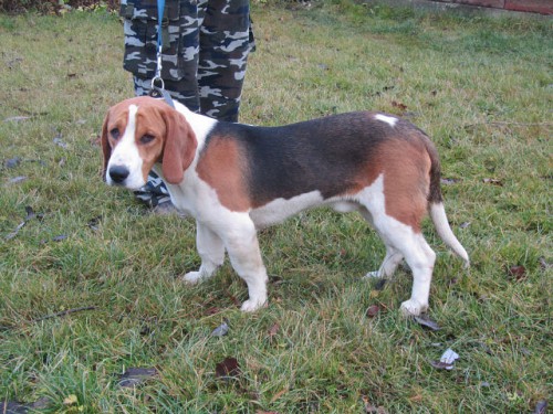 getImage.jpg (120.94 КБ) Просмотров: 1866 getImage.jpg