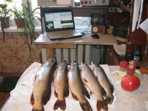 IMG_1027.jpg