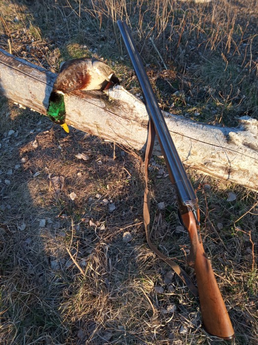 IMG_20190413_192825.jpg (575.88 КБ) Просмотров: 7834 IMG_20190413_192825.jpg