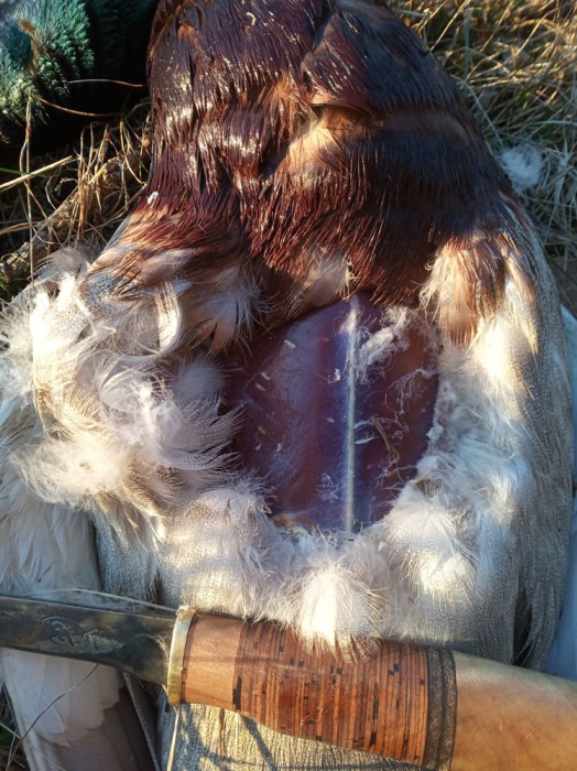 IMG_20190413_193100.jpg (418.26 КБ) Просмотров: 7843 IMG_20190413_193100.jpg