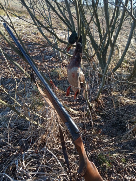 IMG_20190414_083359.jpg (588.67 КБ) Просмотров: 7843 IMG_20190414_083359.jpg