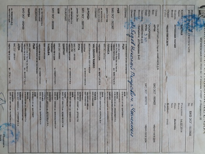 ¦-TЛ¦¦¦¬¦¦TЖ 1-min.jpg (1010.98 КБ) Просмотров: 5195 ¦-TЛ¦¦¦¬¦¦TЖ 1-min.jpg