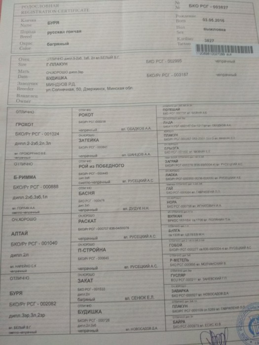 IMG_20190527_194601-2.jpg (130.52 КБ) Просмотров: 4412 IMG_20190527_194601-2.jpg