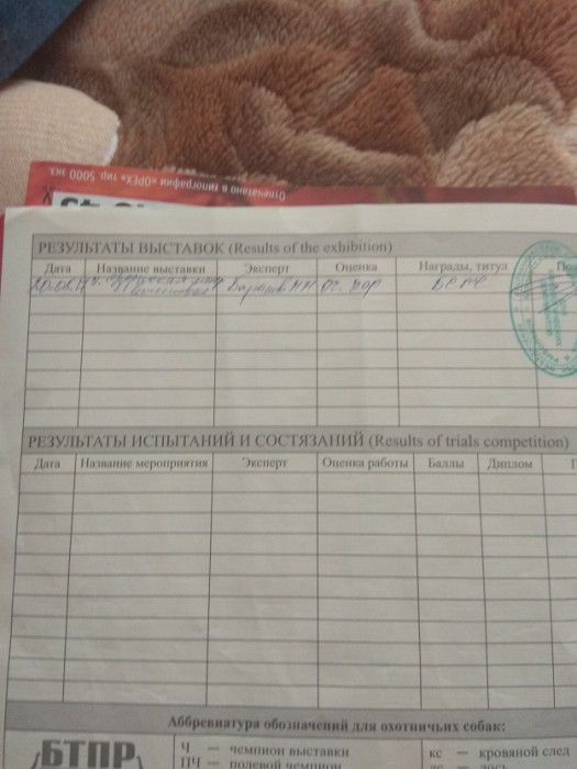 IMG_20190527_194805-1.jpg (135.66 КБ) Просмотров: 4643 IMG_20190527_194805-1.jpg