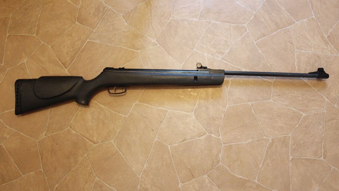 gamo_sh_2.jpg