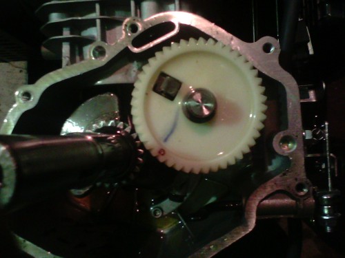 IMG_02042013_130949.jpg