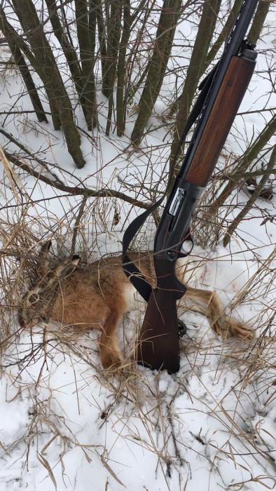 IMG_0023.JPG (428.78 КБ) Просмотров: 6183 IMG_0023.JPG