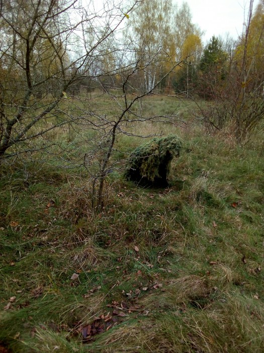 010.jpg (2.11 МБ) Просмотров: 38627 010.jpg