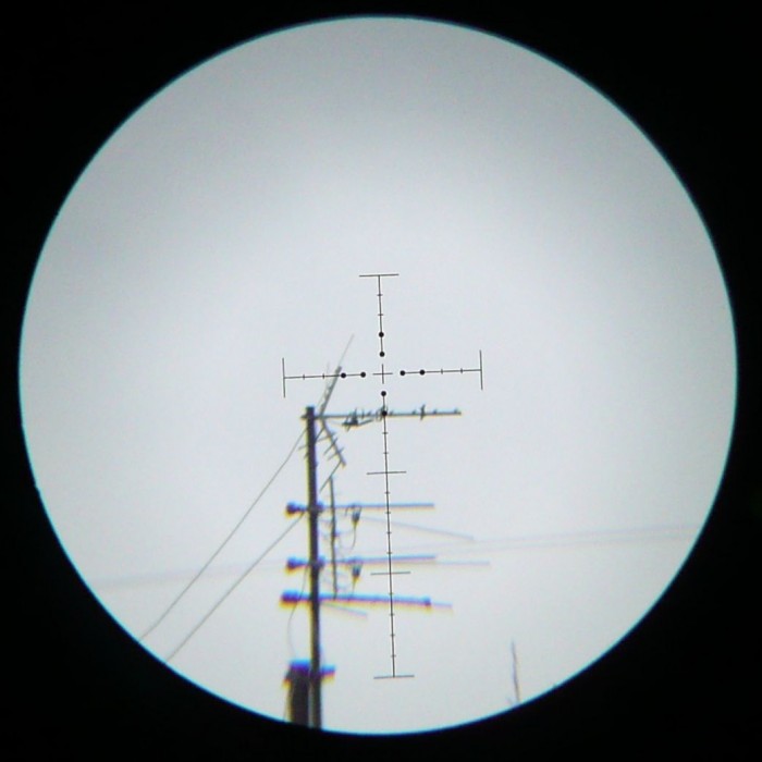 4245035.jpg