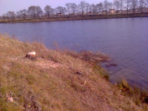 DSC06883.jpg