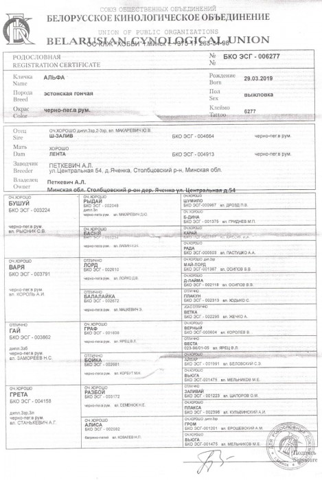 006277_1.jpg (220.74 КБ) Просмотров: 7303 006277_1.jpg