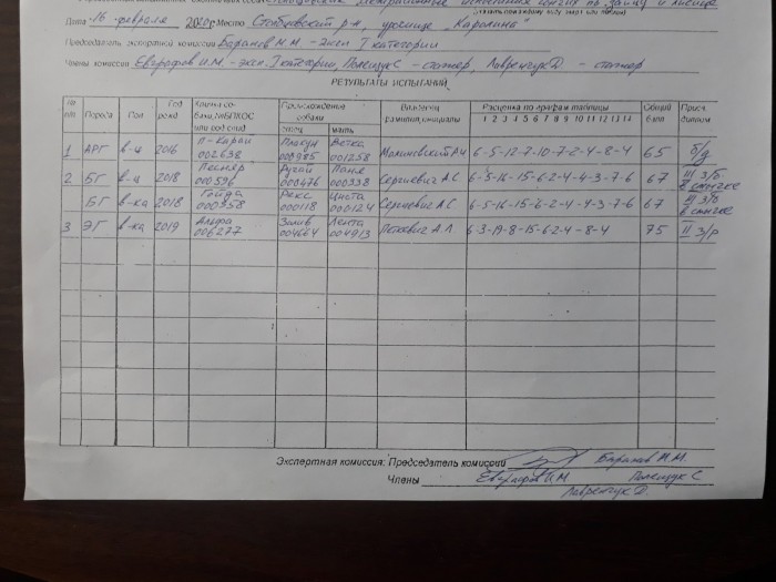 006277_p1.jpg (246.04 КБ) Просмотров: 7126 006277_p1.jpg