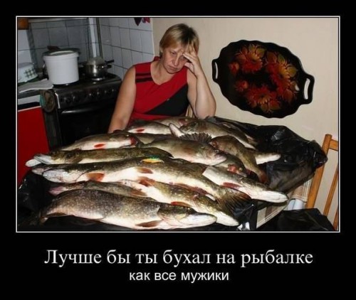 reEAhxvP4kM.jpg