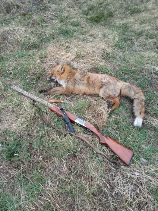 IMG_20200418_201050.jpg (441.13 КБ) Просмотров: 11779 IMG_20200418_201050.jpg