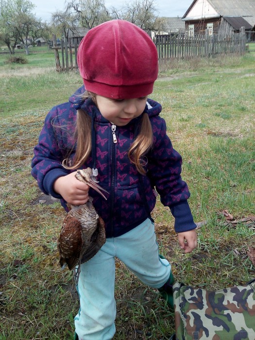 IMG_20200505_111954.jpg (2.76 МБ) Просмотров: 12823 IMG_20200505_111954.jpg