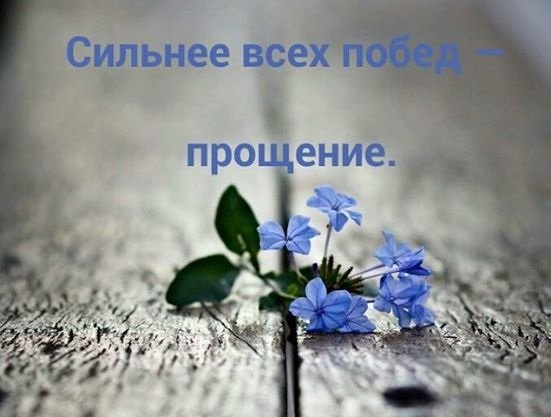 2CC198AF-DA29-4848-9B09-30D9C083DA88.jpeg