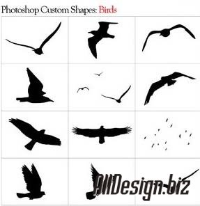 1190731415_birds_shapes_img.jpg