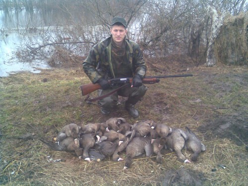 Фото018.jpg (383.96 КБ) Просмотров: 29224 Фото018.jpg