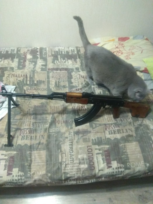cjeuSU_E6eY.jpg