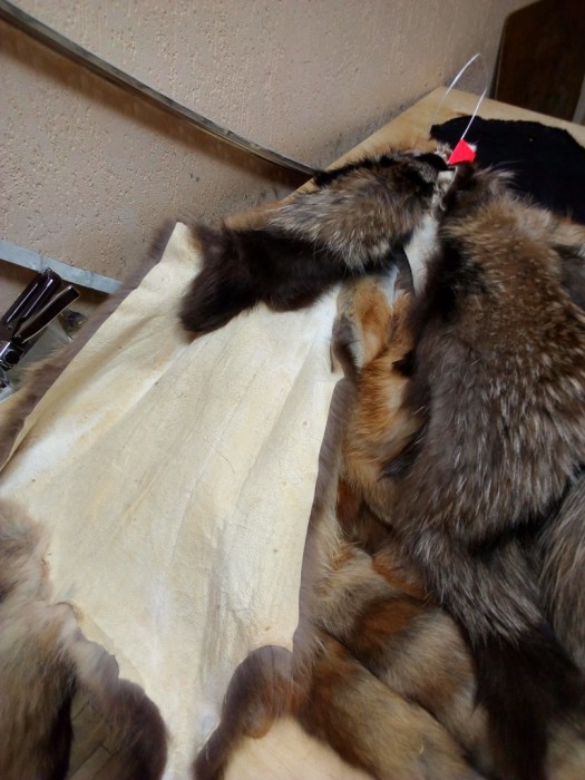 Енот2.jpg (287.85 КБ) Просмотров: 10268 Енот2.jpg