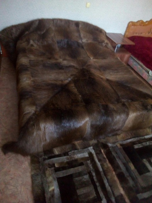 ΠΈΠ·ΠΎΠ±ΡΠ°ΠΆΠ΅Π½ΠΈΠ΅_viber_2021-02-15_16-29-50.jpg (214.96 ΠΠ) ΠΡΠΎΡΠΌΠΎΡΡΠΎΠ²: 4741 ΠΈΠ·ΠΎΠ±ΡΠ°ΠΆΠ΅Π½ΠΈΠ΅_viber_2021-02-15_16-29-50.jpg