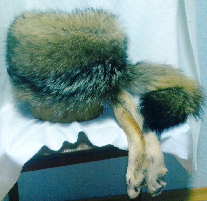 ΠΡΠ±Π°Π½ΠΊΠ°_Π²ΠΎΠ»ΠΊ.jpg (847.59 ΠΠ) ΠΡΠΎΡΠΌΠΎΡΡΠΎΠ²: 4741 ΠΡΠ±Π°Π½ΠΊΠ°_Π²ΠΎΠ»ΠΊ.jpg