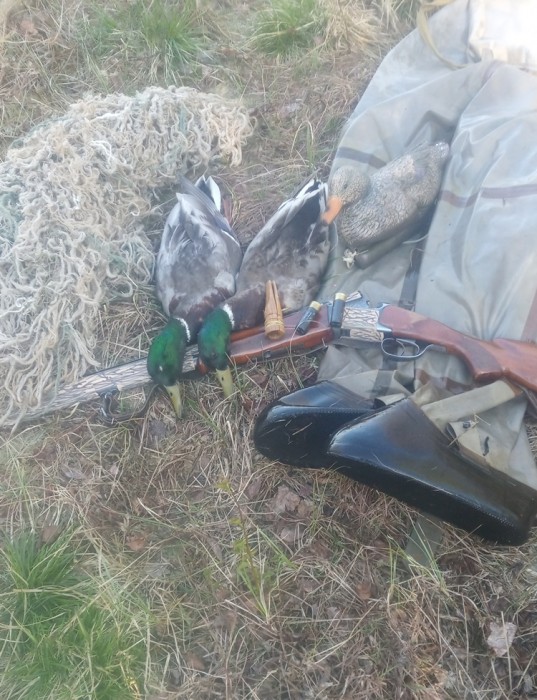 IMG_20210509_082108.jpg (365.63 КБ) Просмотров: 9092 IMG_20210509_082108.jpg