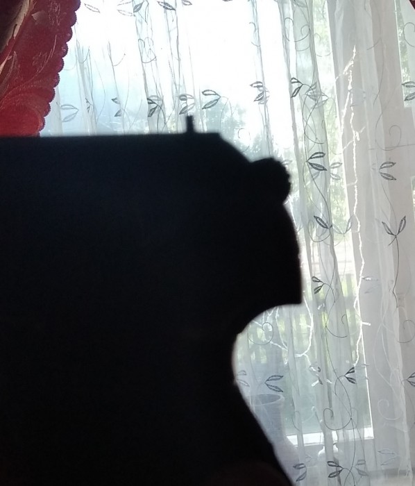 IMG_20210602_194640.jpg