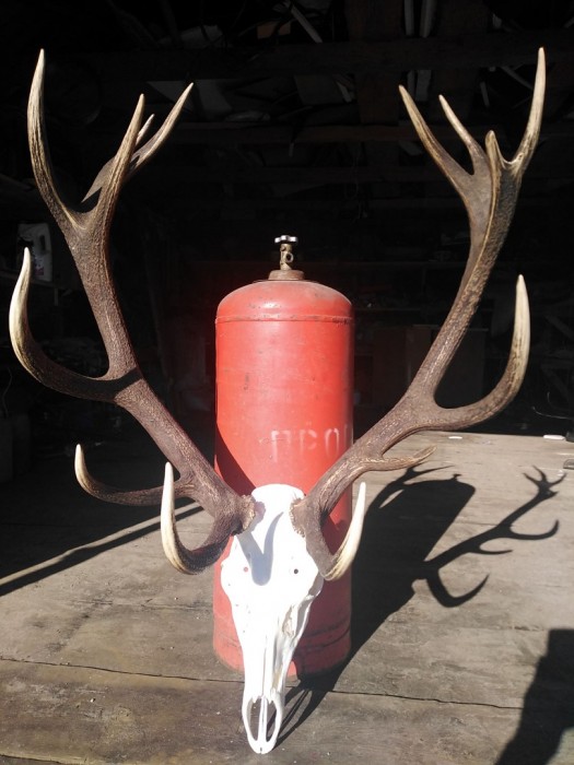 -d5qCcEpoZw.jpg (254.43 КБ) Просмотров: 2533 -d5qCcEpoZw.jpg