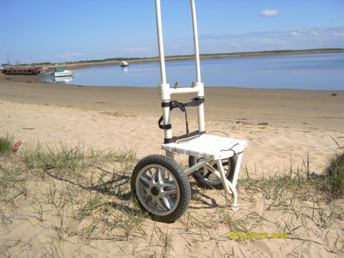 PICT8732.JPG