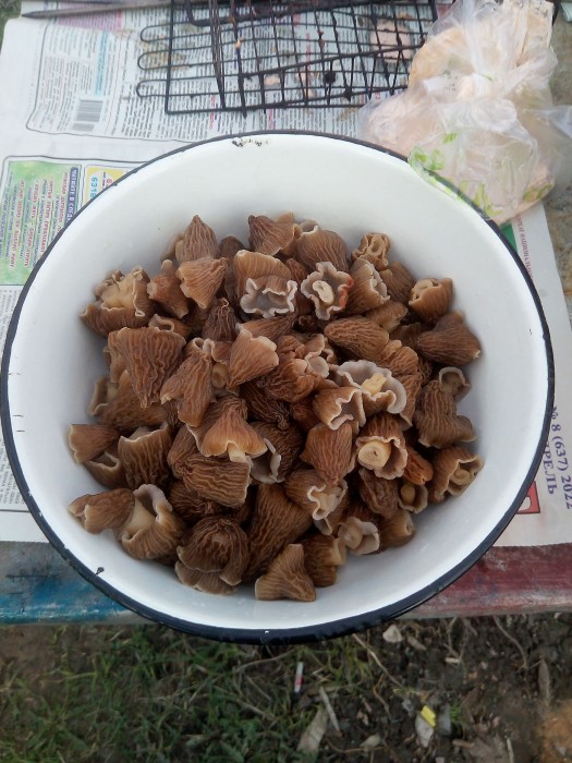 IMG_20220424_185419.jpg (742.16 КБ) Просмотров: 8922 IMG_20220424_185419.jpg