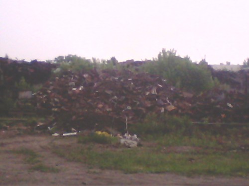 IMG_05282013_100319.jpg