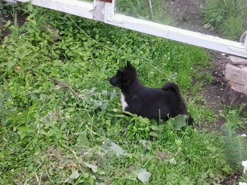 2013-06-11 13.43.17.jpg