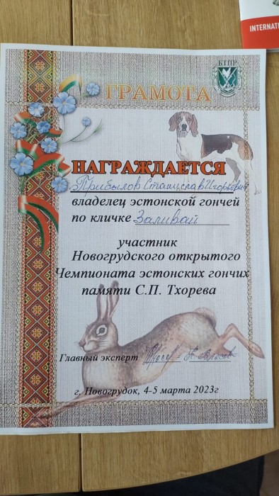 Заливай1.jpg (273.88 КБ) Просмотров: 49683 Заливай1.jpg