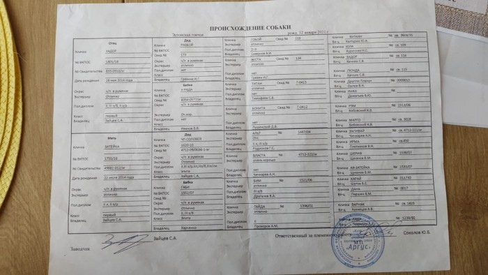 Заливай2.jpg (307.51 КБ) Просмотров: 49683 Заливай2.jpg