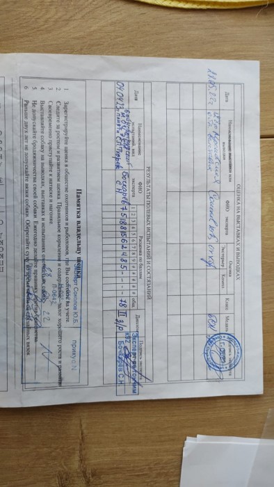 Заливай3.jpg (162.78 КБ) Просмотров: 49683 Заливай3.jpg