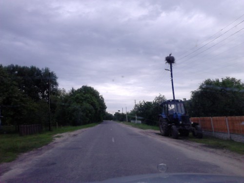 DSC_0086.jpg