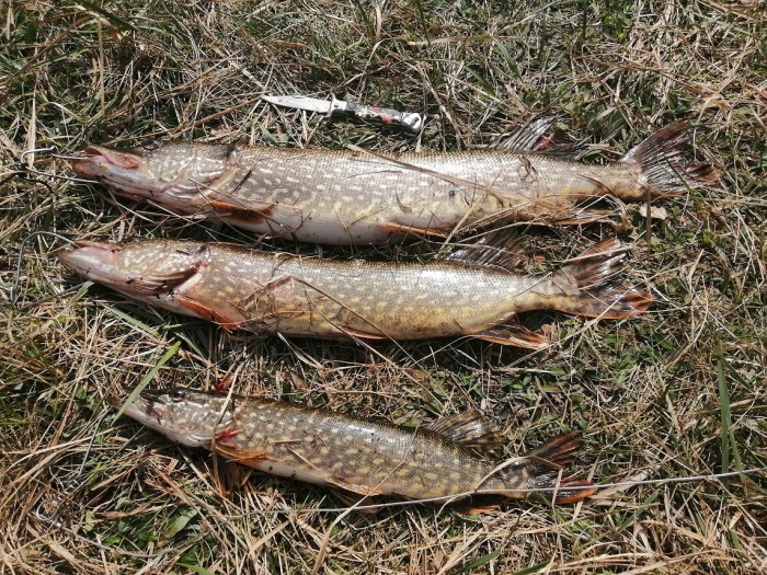 З.Березина.jpg