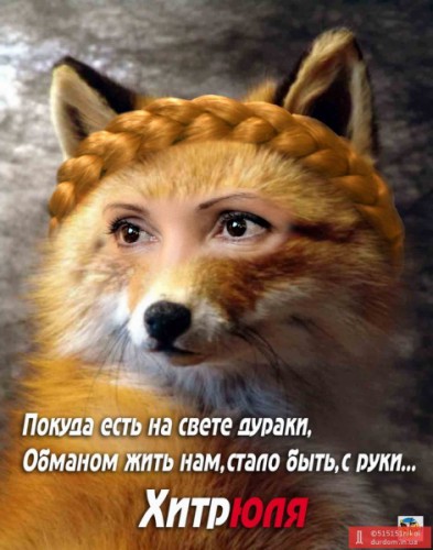 хитрюля.jpg