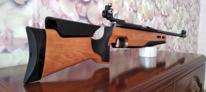 Anschutz LG380 (1).jpg