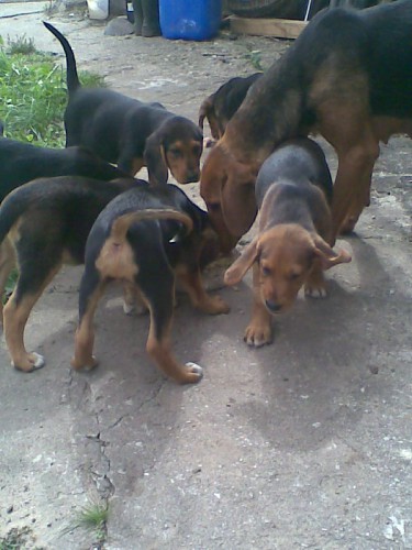 Фото010.jpg (85.54 КБ) Просмотров: 3562 Фото010.jpg