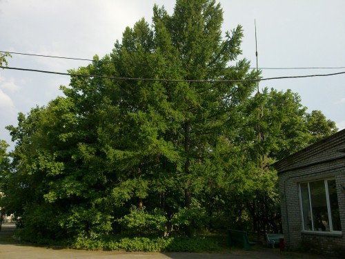 10062011252.jpg