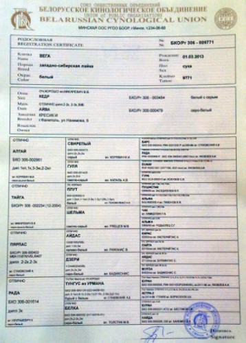 род1.jpg (120.74 КБ) Просмотров: 1472 род1.jpg