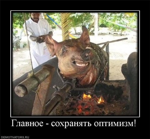 мясо.jpg