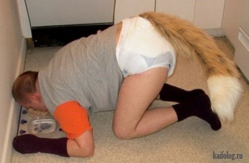 лиса блиат.jpg