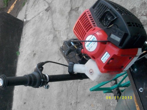 IMGP7230.JPG