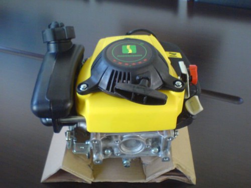 359711056_489.JPG
